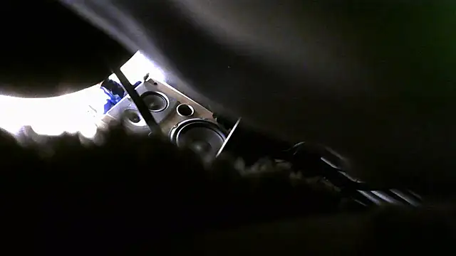 crassanova élő XXX-chatje