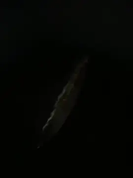 Živý XXX chat J19L84C