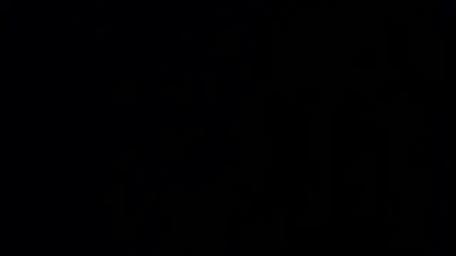 Damian64420 网络视讯表演