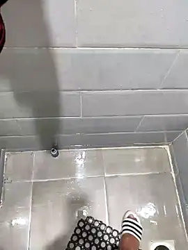 IDEX7 Show Webcam