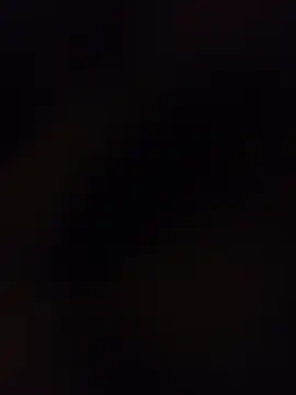 laFinlandese webkamerás műsora