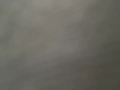 r130130 ওয়েবক্যাম শো