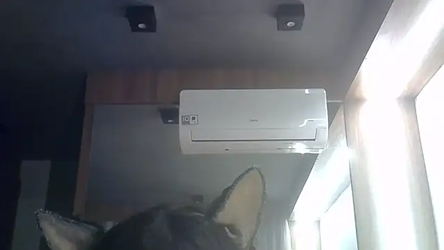 Show de SkinnyKitten na webcam