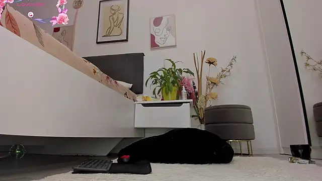 Živý XXX chat Almatoys