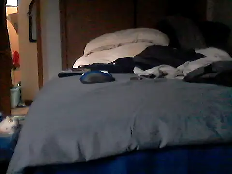 Show Webcam de Silencio26