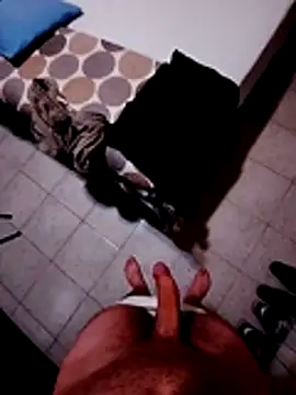 Porcopalestratocazzone21 Webcam-Show