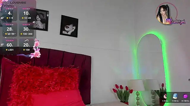 Chatroom XXX en direct de Scarlett_Jank