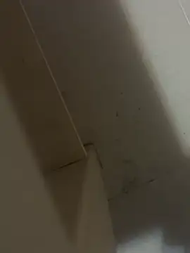 josueswvillaA1's Webcam Show