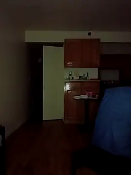 Show webcam de AnonLegend2U