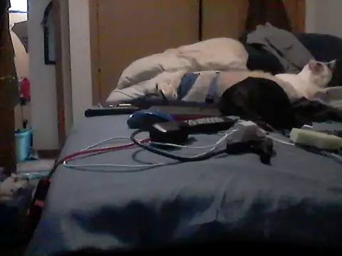 Živý XXX chat Silencio26