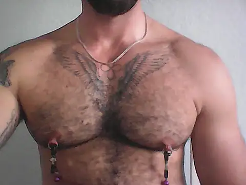 mrbighairychest Show in webcam