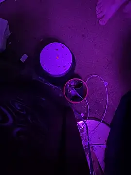 Czat XXX na żywo – Themechanic420
