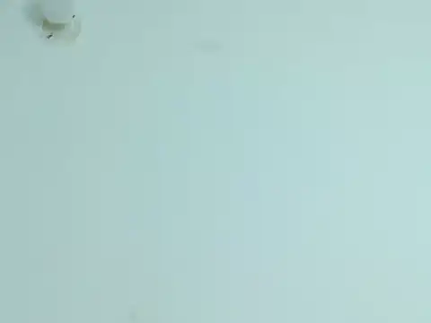 Violet_Donell 现场XXX聊天