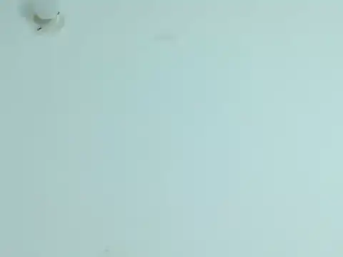 Chat +18 de Violet_Donell ao vivo