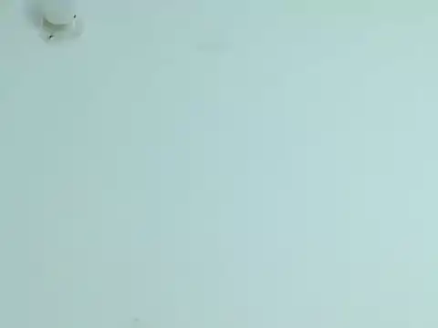 Violet_Donell 即時 XXX 聊天