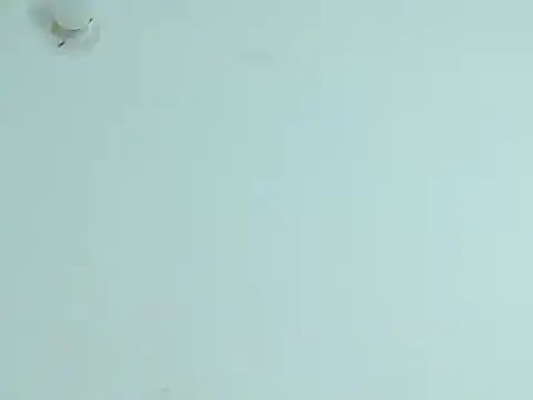 Violet_Donell 即時 XXX 聊天