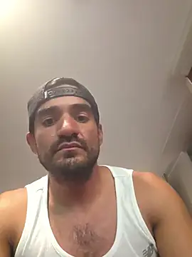 Show Webcam de piggylatino