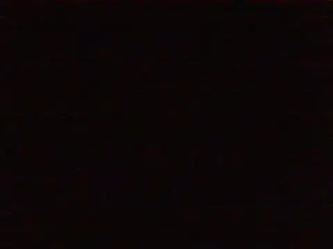 faaridaa 即時 XXX 聊天