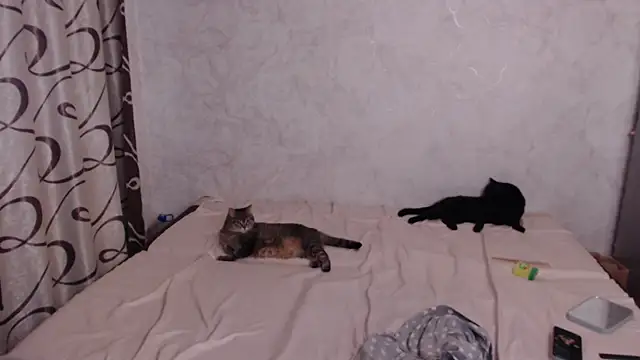 Olivia_Winston 即時 XXX 聊天