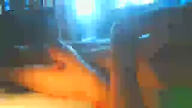 BlnAktivGay Chat XXX in diretta