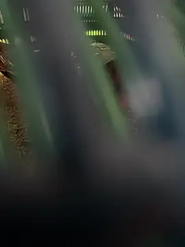 pitipewpew123 Pertunjukan Webcam
