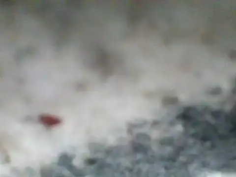 Chat +18 de carlos40404 ao vivo