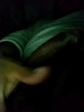 Show webcam de ISAK2595