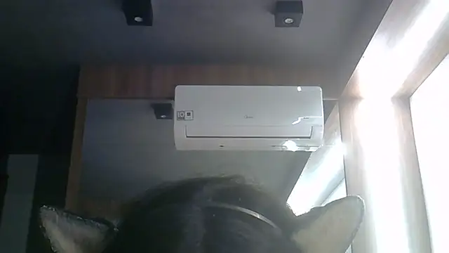 Chat +18 de SkinnyKitten ao vivo