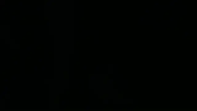 Webkamerová show dussan