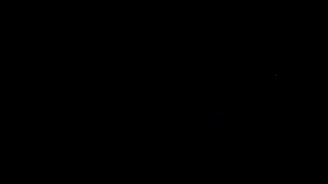 chased21のウェブカメラショー