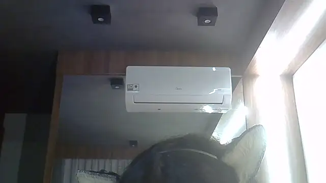 Show de webcam de SkinnyKitten