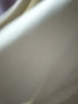 PUNAM456 即時 XXX 聊天