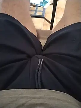 Show webcam de Philebranleur