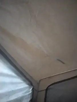 הופעת וובקאם של AceticPinscher
