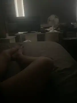 pieter0410n Webbikameraesitys