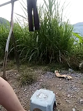 Sofia-fuck's Live XXX Chat
