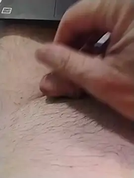 Show Webcam de Philebranleur