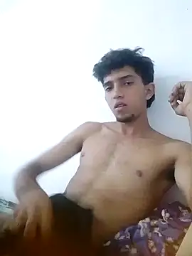 Show Webcam de Noscay