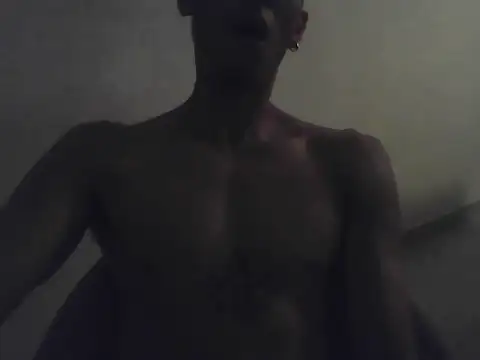 Show webcam de noiraztec