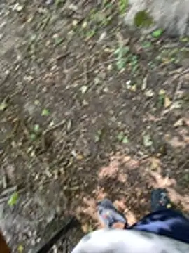 Davvidsm Chat XXX live
