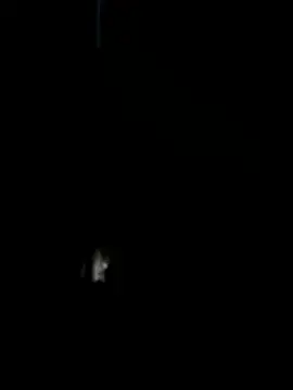 benly888 élő XXX-chatje