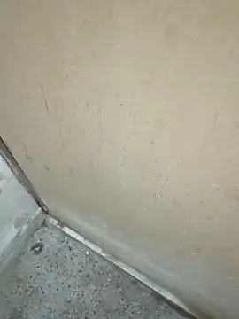Rohit657600 现场XXX聊天