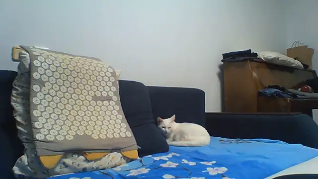 KaelNox Obrolan Langsung XXX