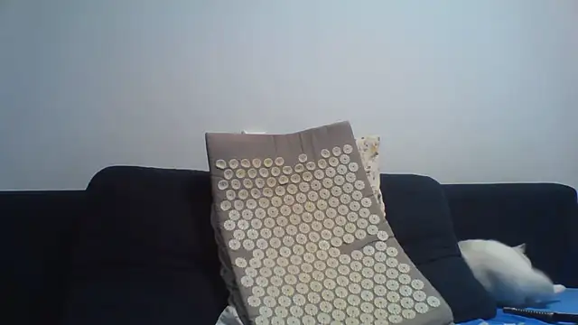 KaelNox Live XXX-chat