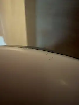 MeladoDiMel Adlı Modelin Canlı XXX Sohbeti
