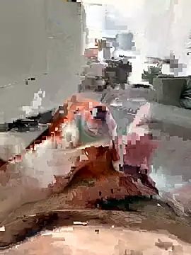Loco42- Webcam-Show