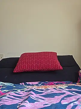 Webkamerová show Ashloves_