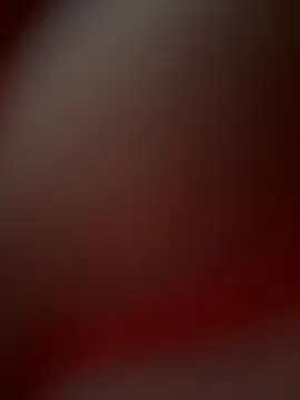 funlad245n Webbikameraesitys