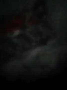 DigCrok 现场XXX聊天