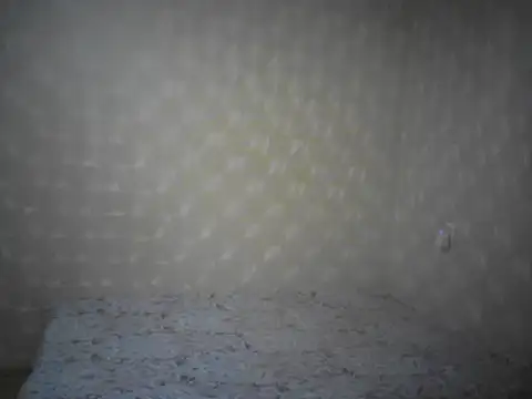 LunaBelle8 Live XXX Chat